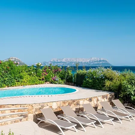 Mimosa Con Piscina Villa